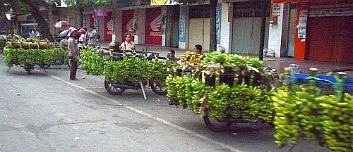 Motorcyles loaded with bananas